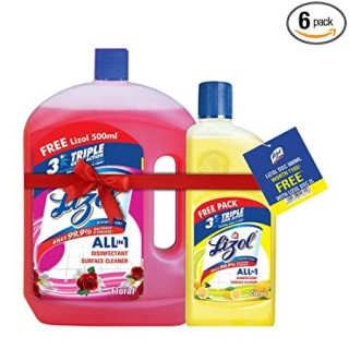 LIZOL ALL IN 1 FLORAL 2 LTR